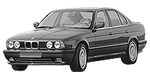 BMW E34 P2079 Fault Code