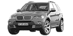 BMW E70 P2079 Fault Code